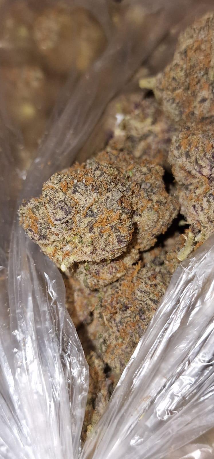 Branded Loose Exotics: Connected Gelonade -  Tops