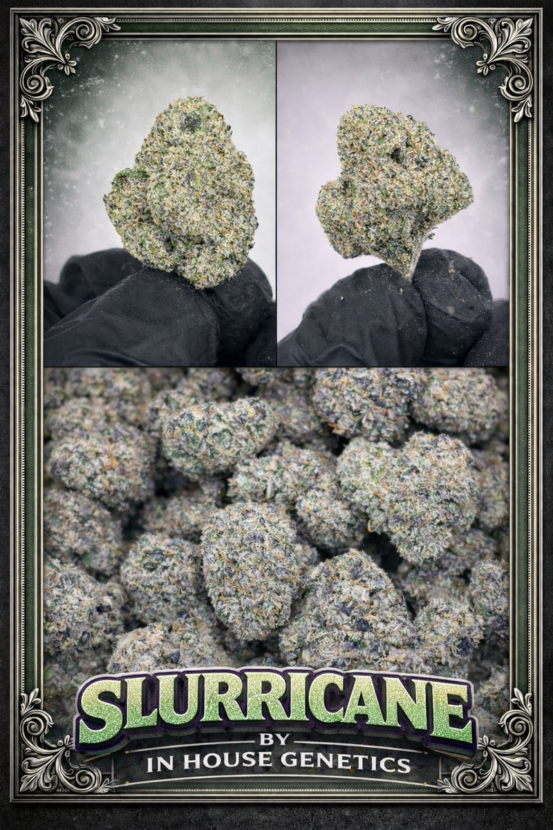 FLOWER MENU MIX MIDS TOPS EXOTICS