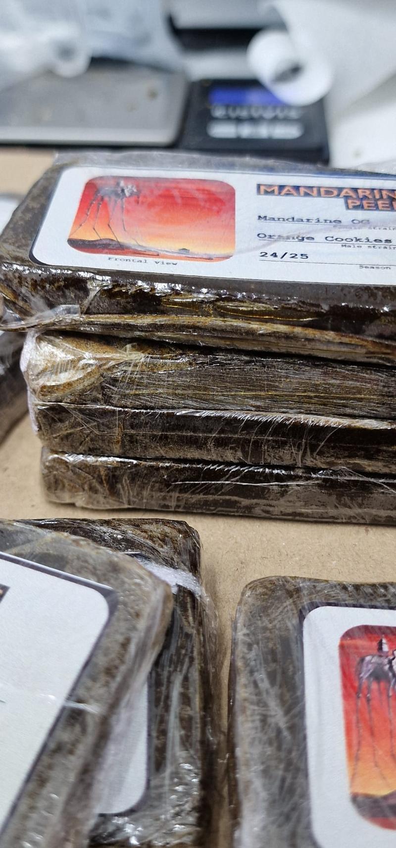 Mandarin Hash 🍊 🇲🇦