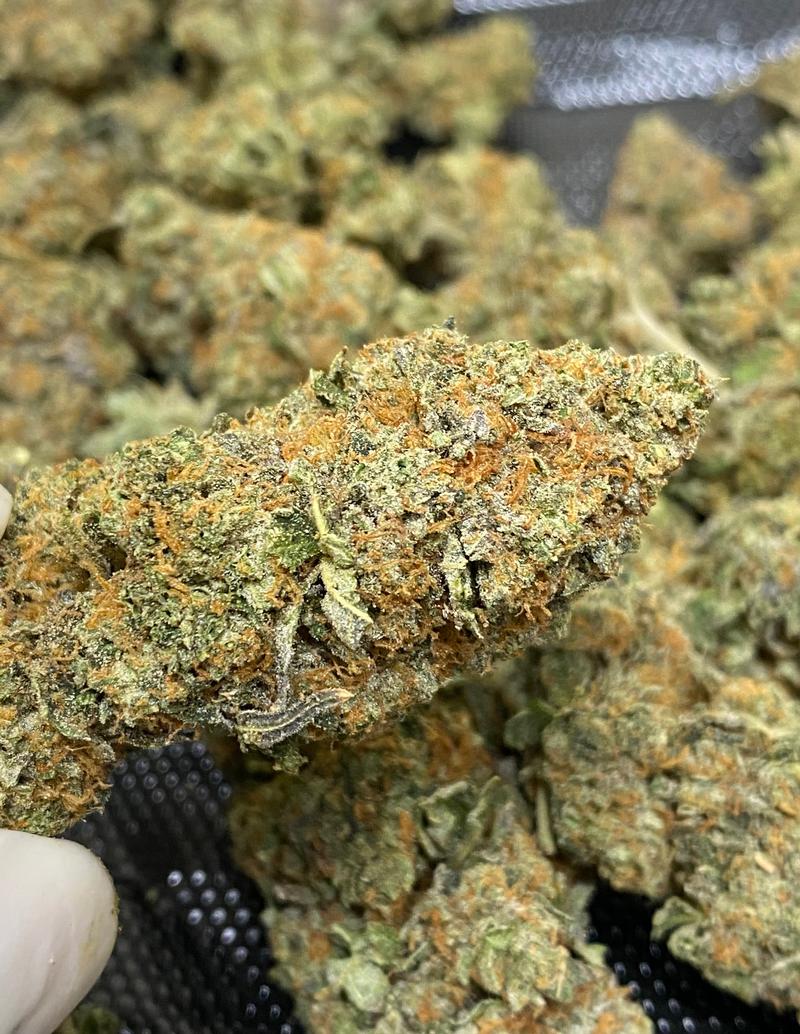 Biscoff Top Quality in House Grown ⛽️ 🔥