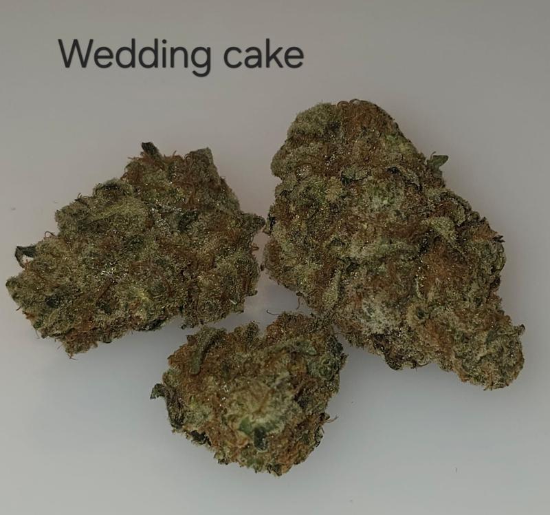 Make an oz for £160! ( Free T24 )