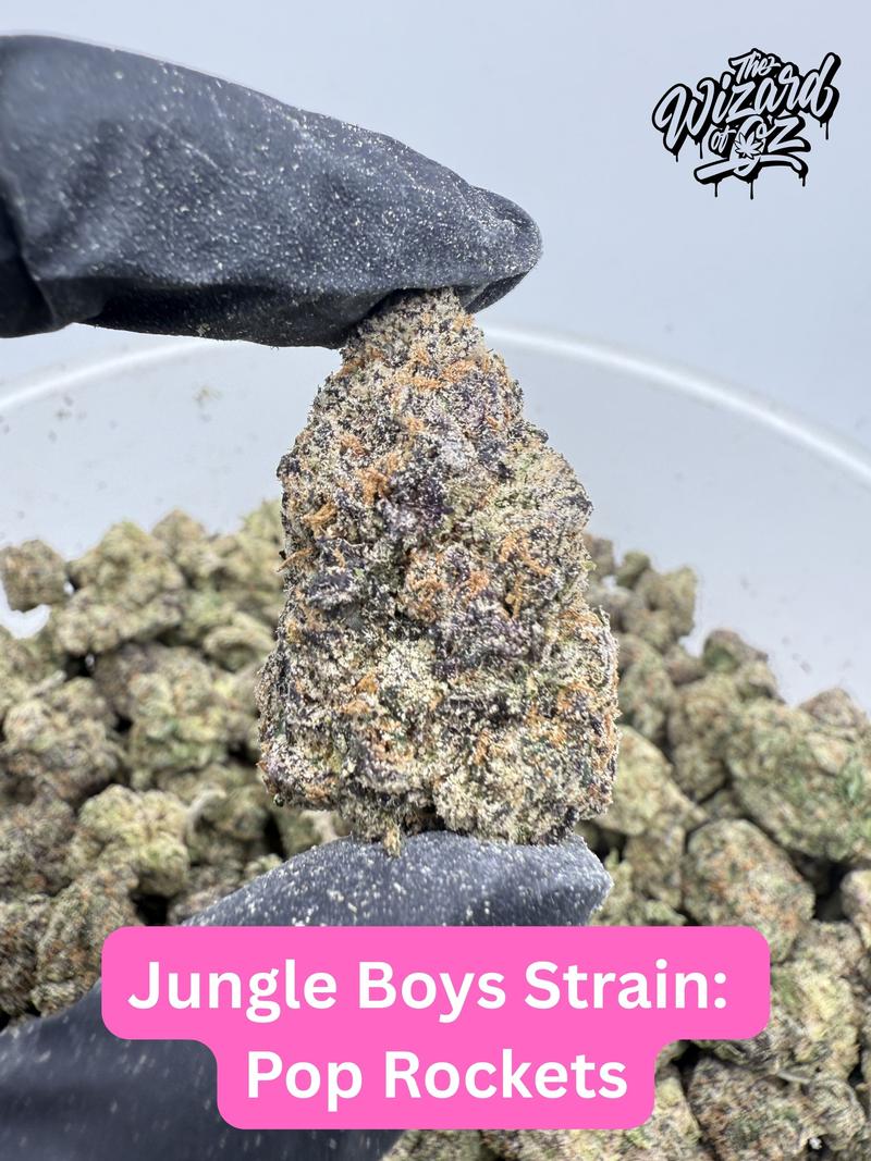 Jungle Boys Strain: Pop Rockets