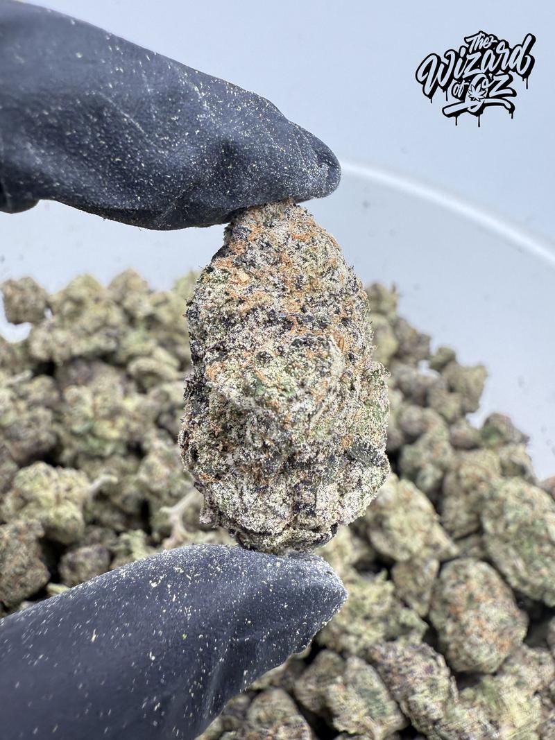 Jungle Boys Strain: Pop Rockets