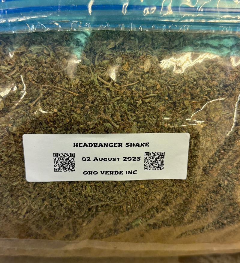Popcorn buds / shake 🇬🇧