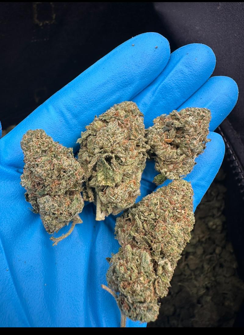 Blue Sunset Sherbet