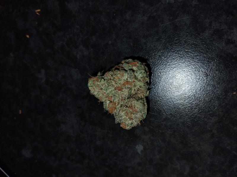 SAMPLE [PURPLE COOKIES]