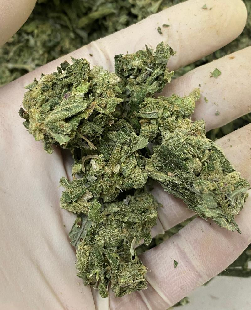 PreRoll Quality Skittles Shake - In House Gas