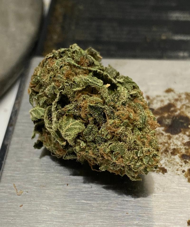 Northern Lights - Homegrown Classic Strain - Rare