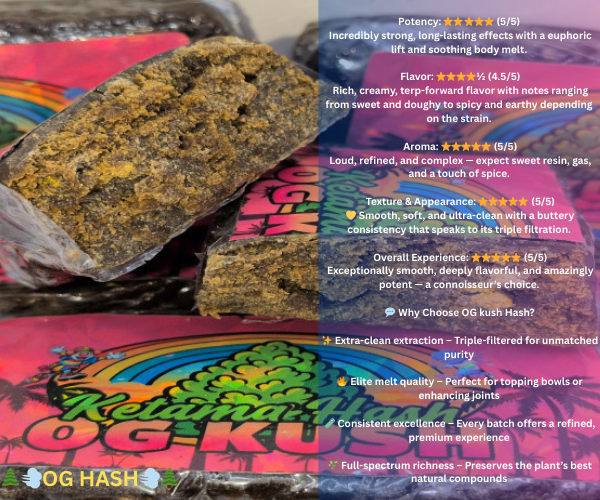 Wonka’s Hash Bar 🎩