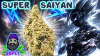 Super Flavour's