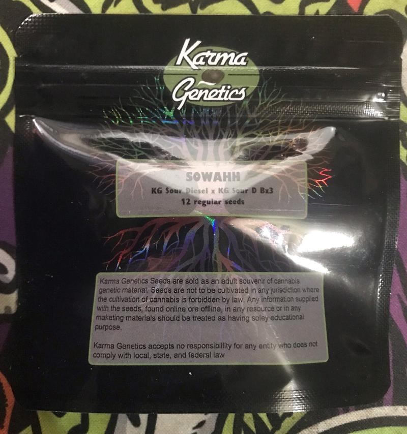 Karma Genetics
