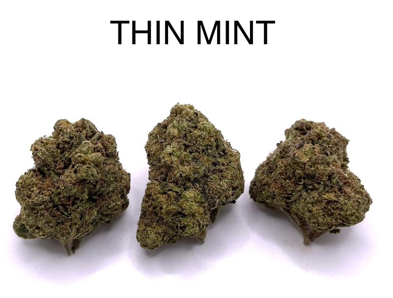 THIN MINT