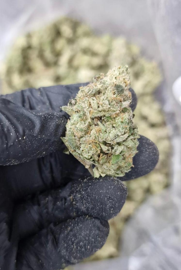 Z11 - Fruity Zkittles Real Deal Cut