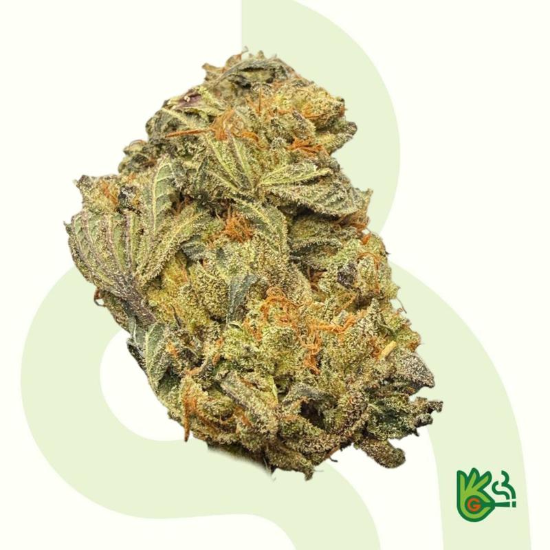 Alien Cookies * Free