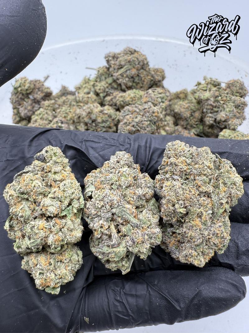 Wizard Trees Strain: Gas Gimlet