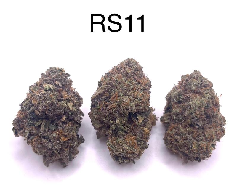 RS11