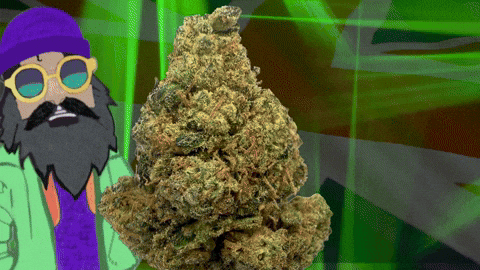 UK BUD'S