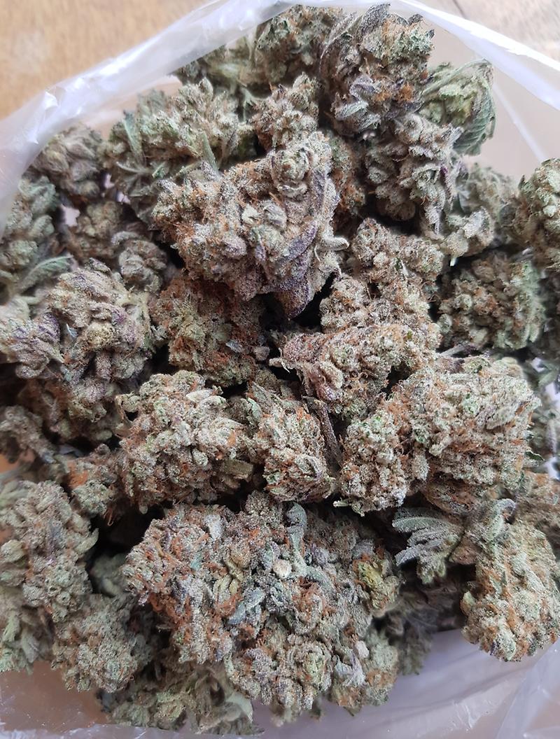 **FIRE DAWG**