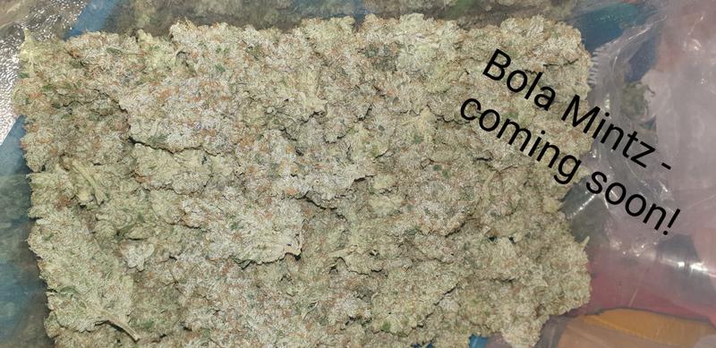 Blueberry Cheese - RozzyGrown