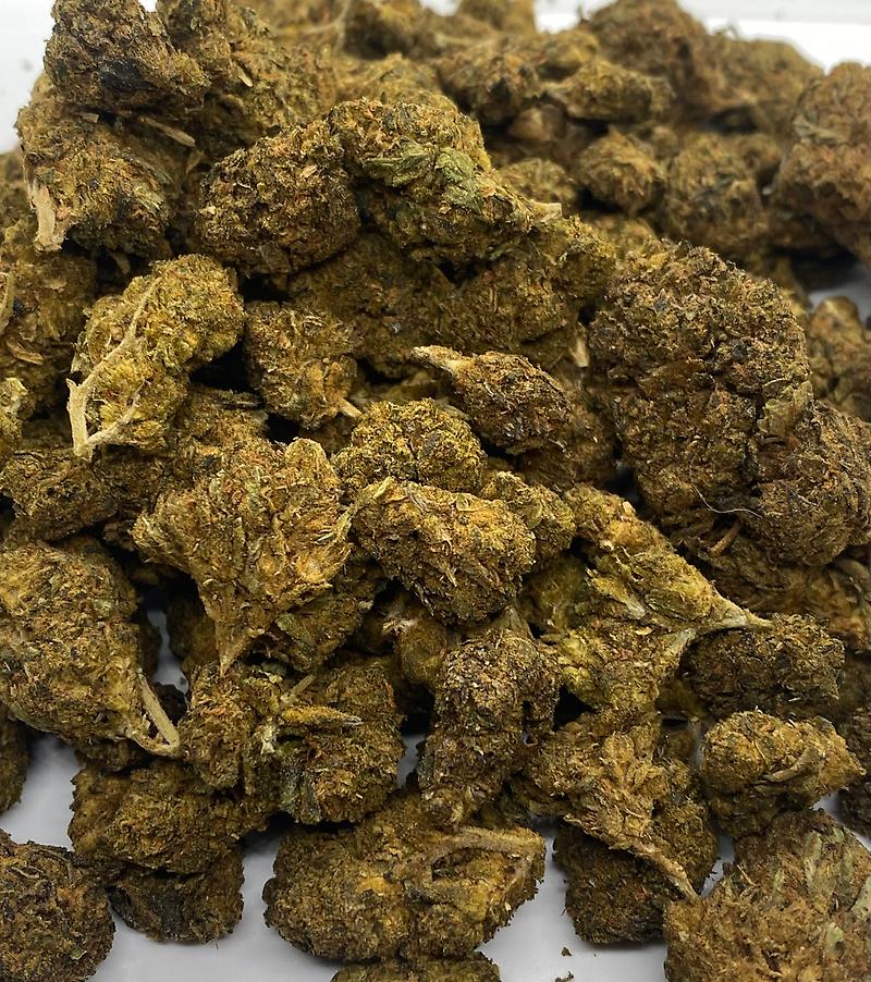 Hemp Lady’s Classic OG Kush - Low Cost / Great Bud