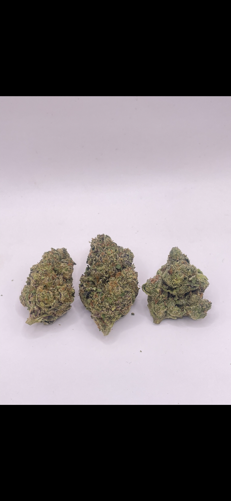 BLUE BISCOTTI
