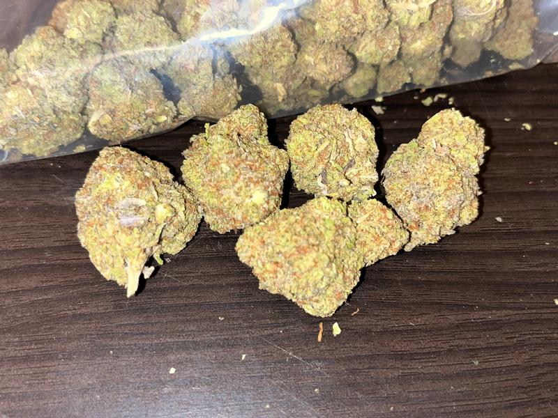 Gelato 41