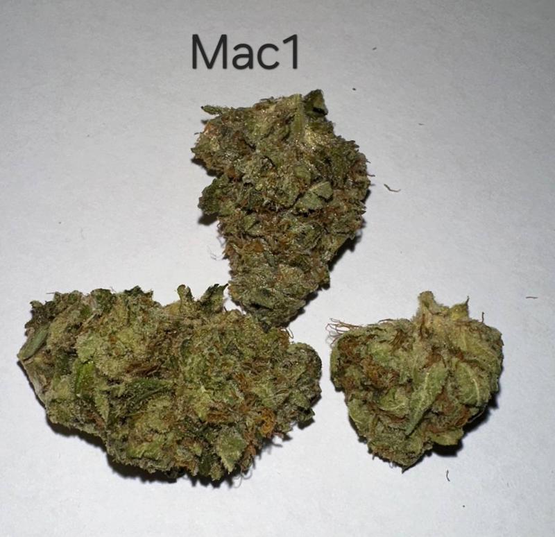 Make an oz for £160! ( Free T24 )