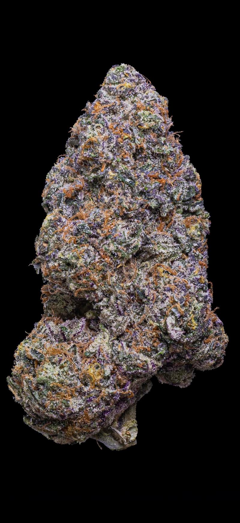 Rainbow Zangria Cutting/Clone