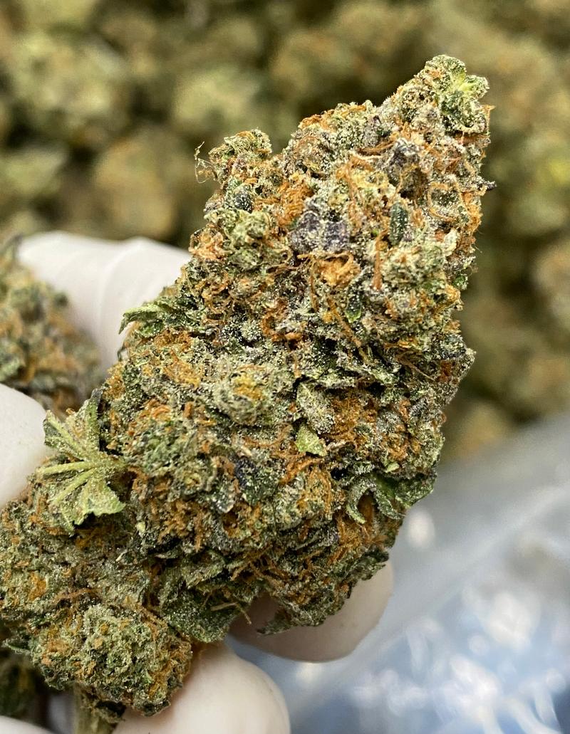 Biscoff Top Quality in House Grown ⛽️ 🔥