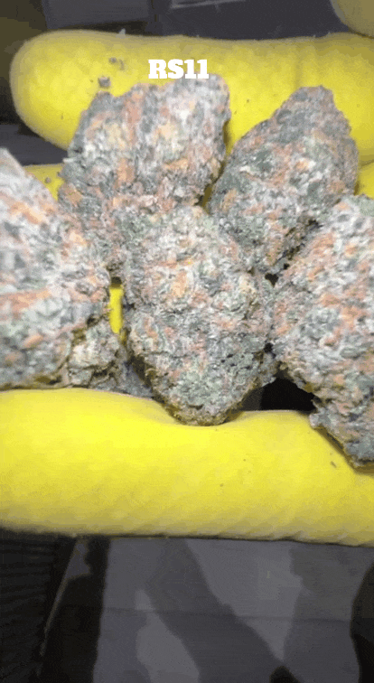 Top Shelf Exotics - Imported Loose Flower