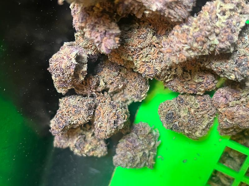 Purple Crush