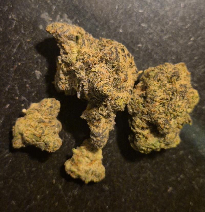Jungle Cake