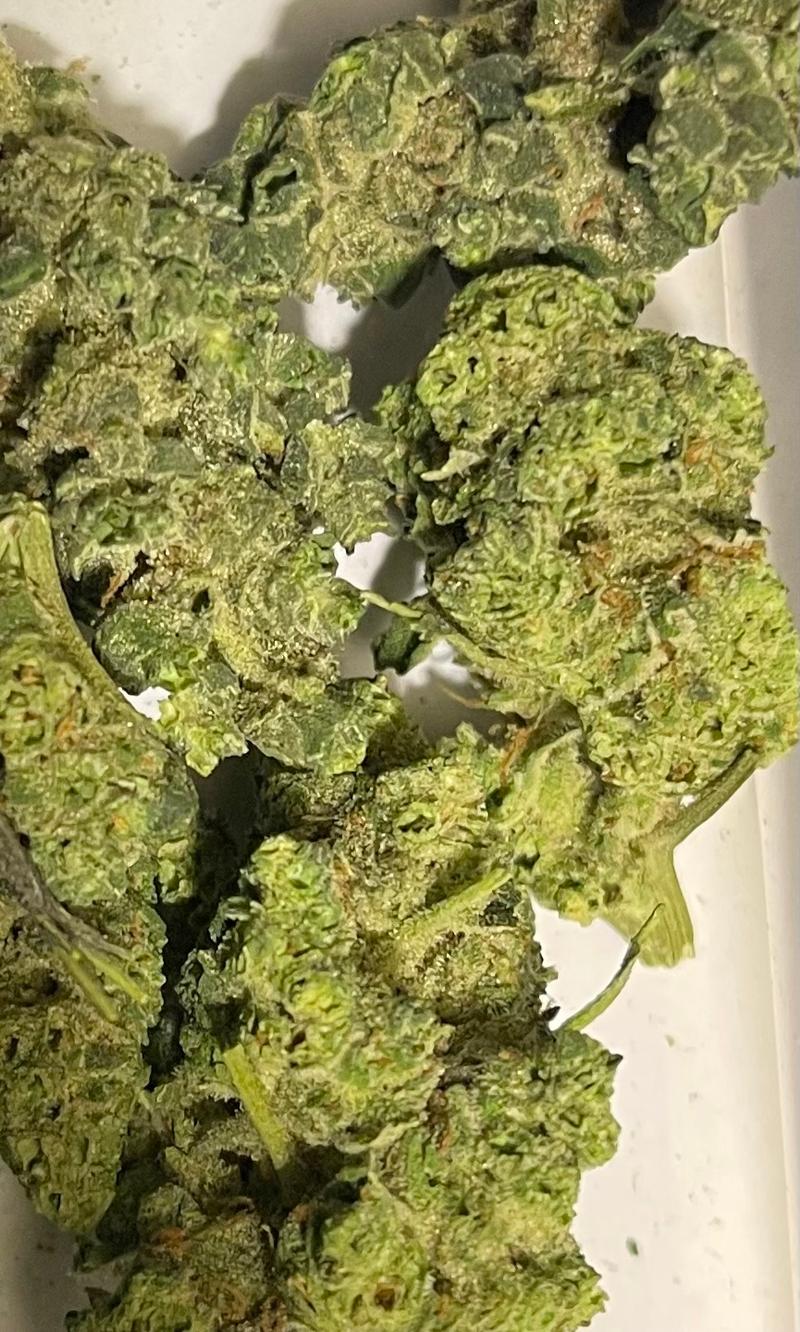 Kosher Kush x Tangie Smalls