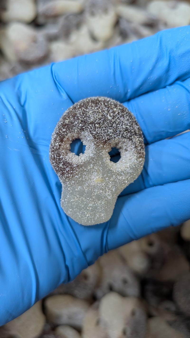 Coca Coma’zZzZzZ 700MG