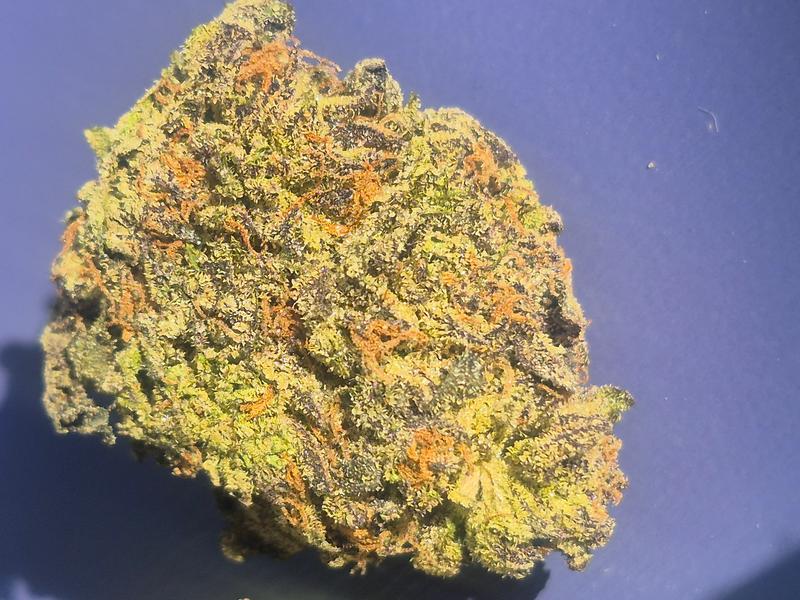 Grand Daddy Purple. Cali aaa