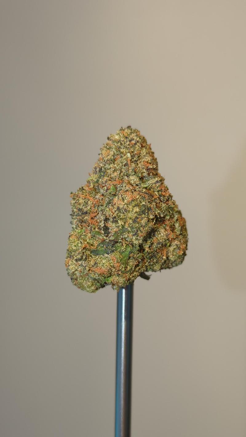 US Mids - Cap Junky (Indoor)