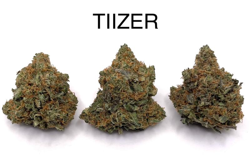 TIIZER