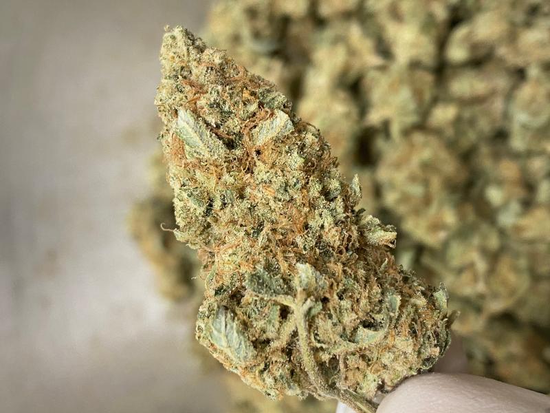 Dapper Grown Purple Punch - In House ⛽️ 🇬🇧 🔥