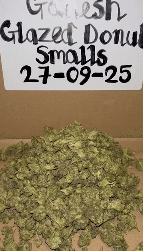 Ganesh Exotic Smalls