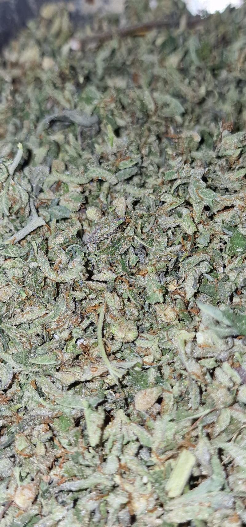 Super High Quality Resinous Gassy StarDawg Shake Potent