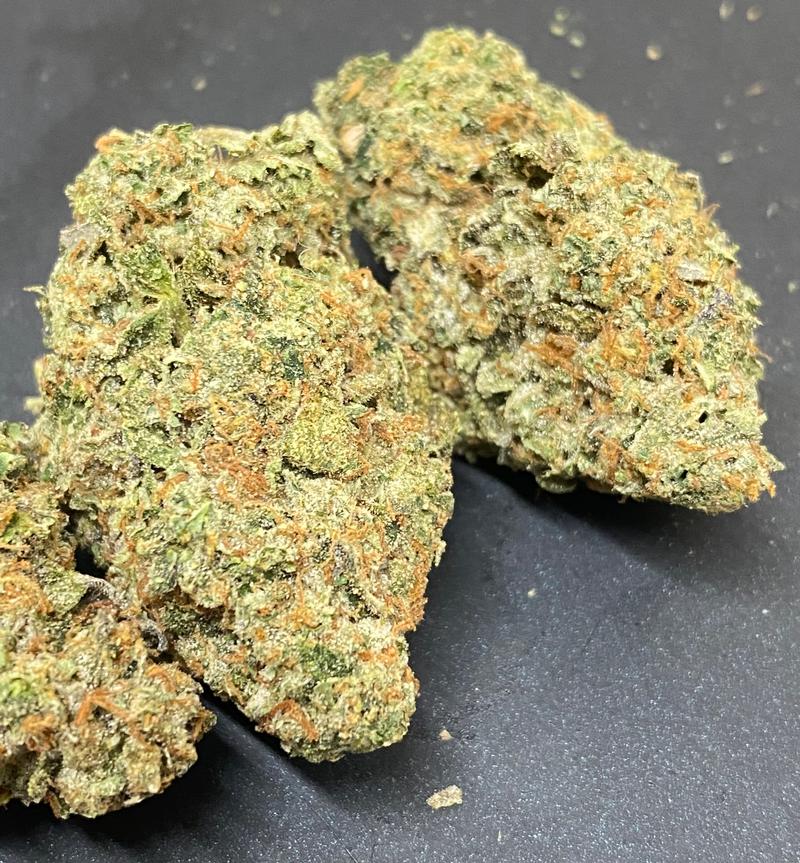 Britscotti - Boutique UK Grown - Top Shelf Hydroponics