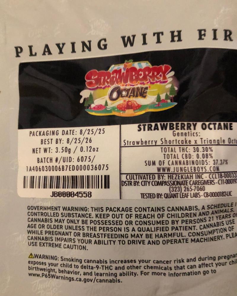 Jungle Boys Packs