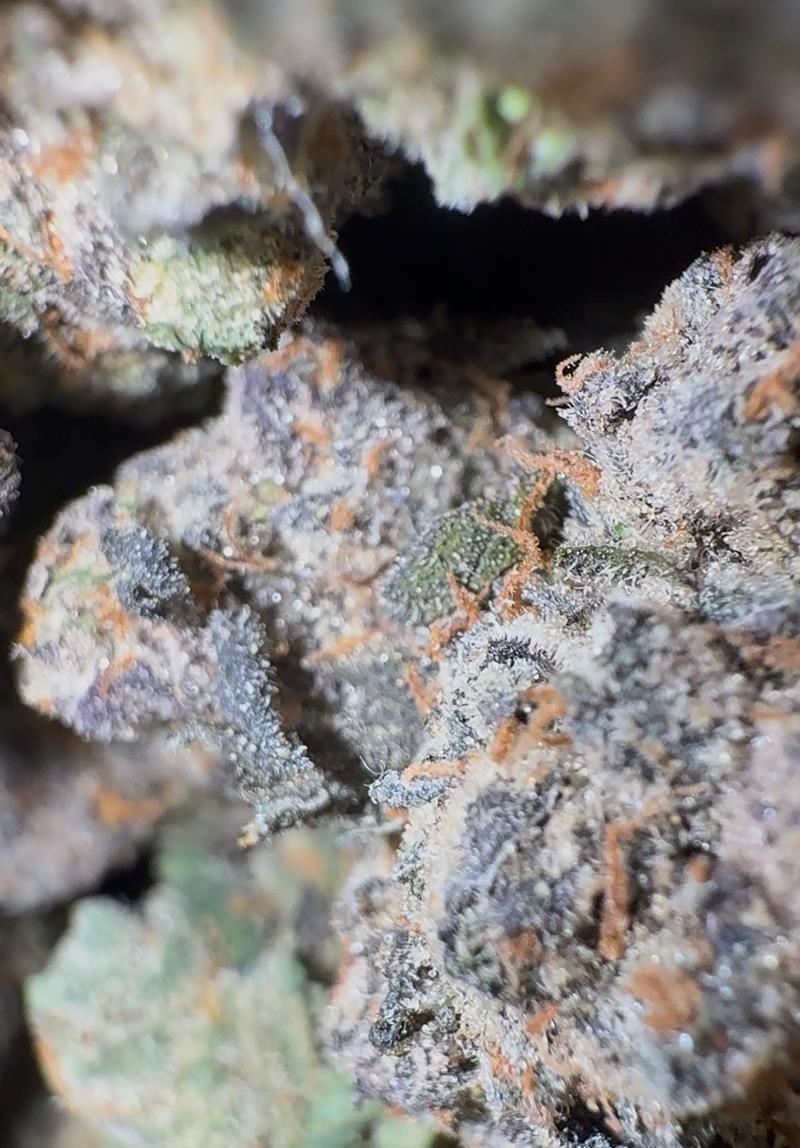 KLEEN FARMS GARY X ZOAP