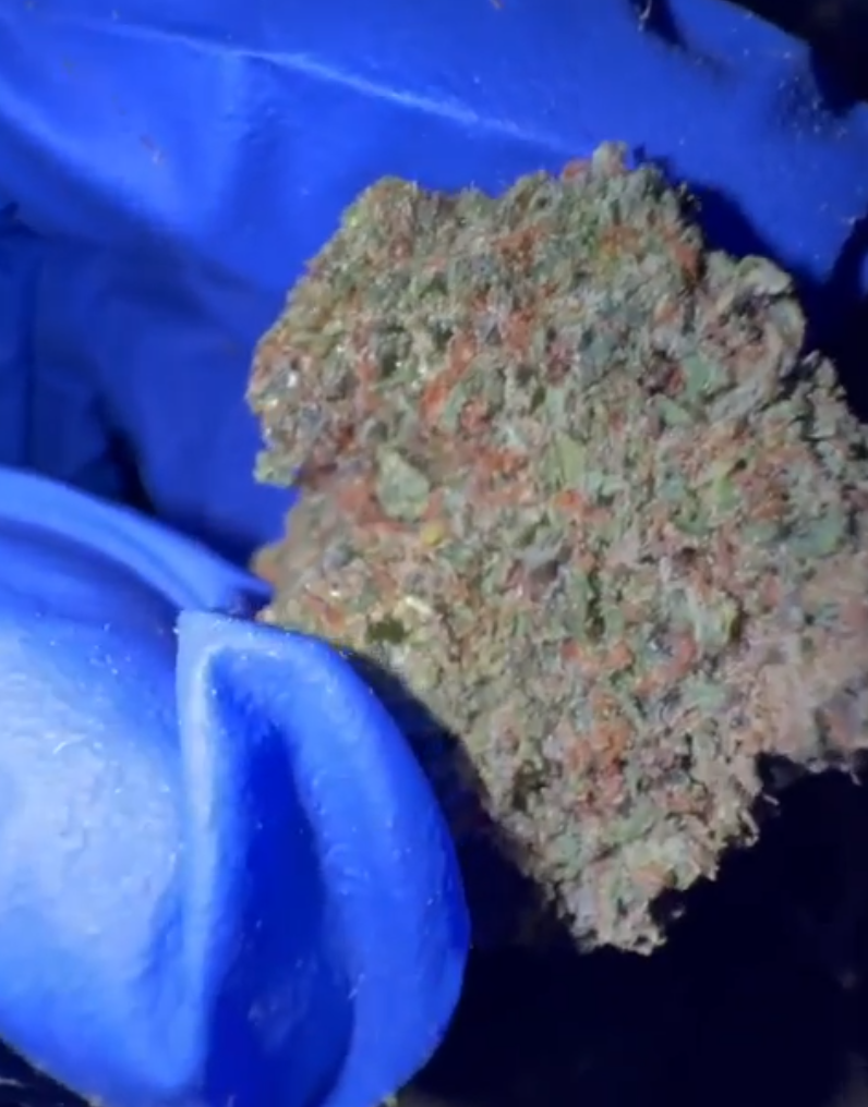 CALI US - MONTANA VALLEY 36,10% THC