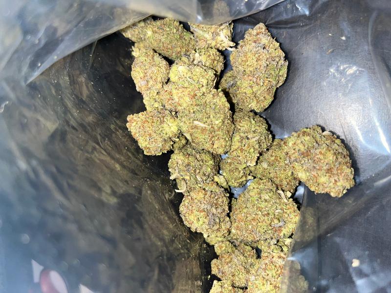 Gelato 41