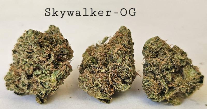 Make an oz for £160! ( Free T24 )