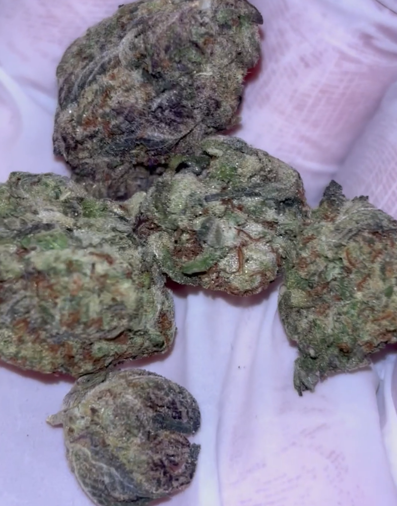 CALI CANADA - RUSSIAN CREAM 65% INDICA