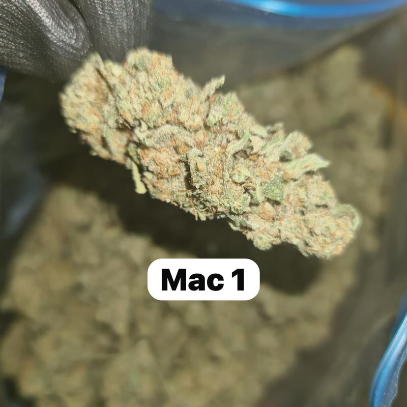 UK BUD'S