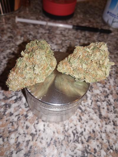 Budget flowers