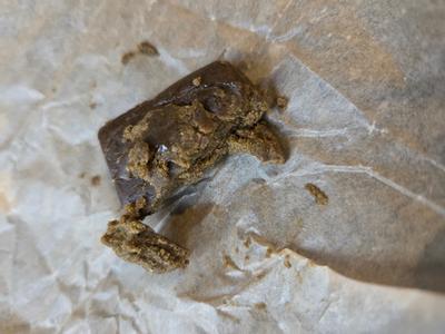 The World Hash